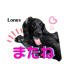 なべワンコ（個別スタンプ：9）