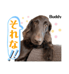 なべワンコ（個別スタンプ：14）
