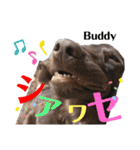 なべワンコ（個別スタンプ：18）