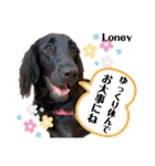 なべワンコ（個別スタンプ：32）