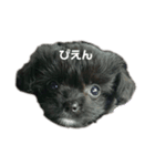 倉田家のたらちゃん（個別スタンプ：1）