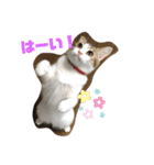 momo cyan（個別スタンプ：9）