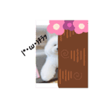 トイプードル・シェイク（個別スタンプ：21）