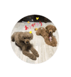 もふもふZOO（個別スタンプ：1）