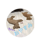 もふもふZOO（個別スタンプ：2）