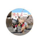 もふもふZOO（個別スタンプ：4）