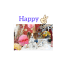 ぱぴぱぴパピヨン7（個別スタンプ：6）