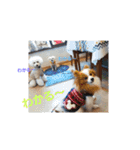 ぱぴぱぴパピヨン7（個別スタンプ：21）