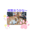 ぱぴぱぴパピヨン7（個別スタンプ：29）