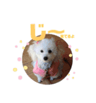 メルメリーハムズスタンプ1（個別スタンプ：10）