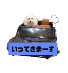 メルメリーハムズスタンプ1（個別スタンプ：11）