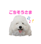 メルメリーハムズスタンプ1（個別スタンプ：21）