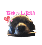 メルメリーハムズスタンプ1（個別スタンプ：23）