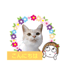 日常会話スタンプニャン（個別スタンプ：2）