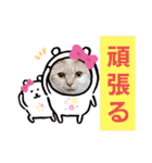 日常会話スタンプニャン（個別スタンプ：10）