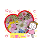 日常会話スタンプニャン（個別スタンプ：12）