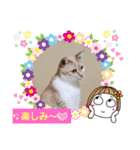日常会話スタンプニャン（個別スタンプ：19）