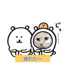 日常会話スタンプニャン（個別スタンプ：23）