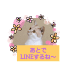 日常会話スタンプニャン（個別スタンプ：26）