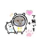 日常会話スタンプニャン（個別スタンプ：28）