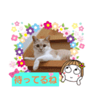 日常会話スタンプニャン（個別スタンプ：31）