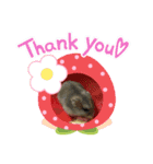 ハムちゃん‘S（個別スタンプ：8）