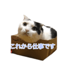 モオくんの日常（個別スタンプ：6）