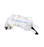 モオくんの日常（個別スタンプ：8）