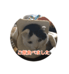 モオくんの日常（個別スタンプ：11）