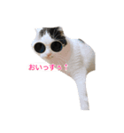 モオくんの日常（個別スタンプ：13）