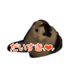 モオくんの日常（個別スタンプ：22）