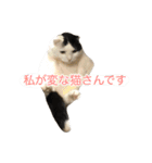 モオくんの日常（個別スタンプ：27）
