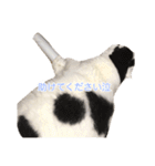 モオくんの日常（個別スタンプ：30）