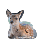 動物の気持ちでは無い（個別スタンプ：2）