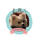 うちの潤ちゃん二巻（個別スタンプ：1）