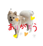 うちの潤ちゃん二巻（個別スタンプ：6）