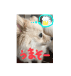 うちの潤ちゃん二巻（個別スタンプ：7）