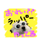 うちの潤ちゃん二巻（個別スタンプ：8）
