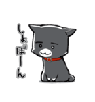 ぽわいぬ（個別スタンプ：6）