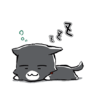 ぽわいぬ（個別スタンプ：8）