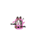 猫ダルマちゃん（個別スタンプ：2）