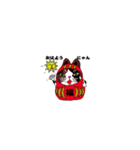 猫ダルマちゃん（個別スタンプ：11）