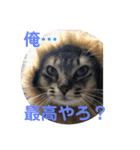 お猫様nyan’s 2！（個別スタンプ：8）