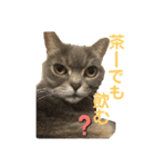 お猫様nyan’s 2！（個別スタンプ：9）