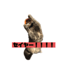 お猫様nyan’s 2！（個別スタンプ：10）