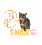 お猫様nyan’s 2！（個別スタンプ：16）