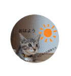 きなこ©（個別スタンプ：1）