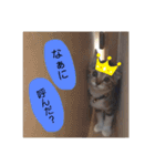 きなこ©（個別スタンプ：4）