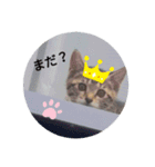 きなこ©（個別スタンプ：7）