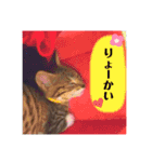 きなこ©（個別スタンプ：8）